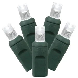 100Lt LED Pure Wh/GW WA EC Set 34 ft.