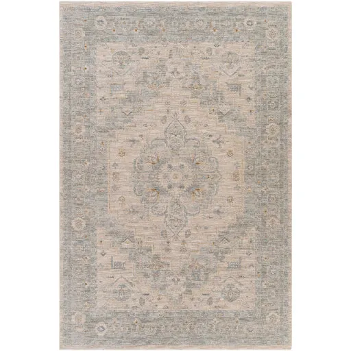 Avant Garde Traditional Light Gray Rug