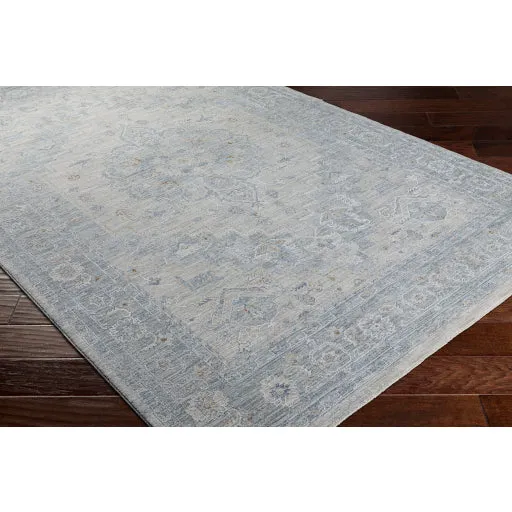 Avant Garde Traditional Light Gray Rug