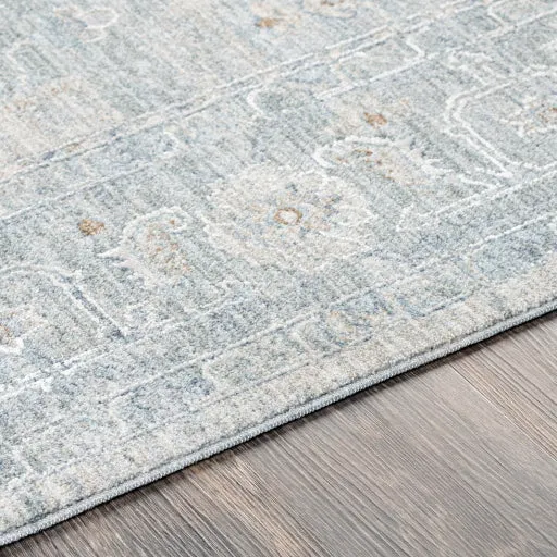 Avant Garde Traditional Light Gray Rug