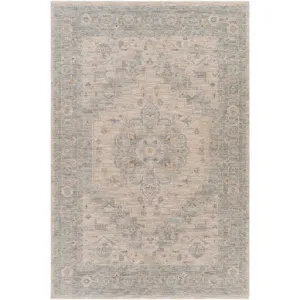 Avant Garde Traditional Light Gray Rug