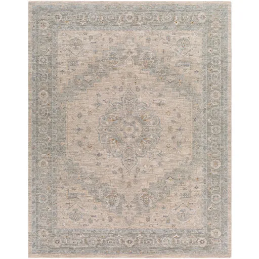 Avant Garde Traditional Light Gray Rug