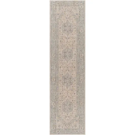 Avant Garde Traditional Light Gray Rug