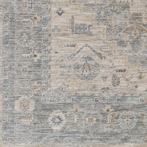 Avant Garde Traditional Light Gray Rug