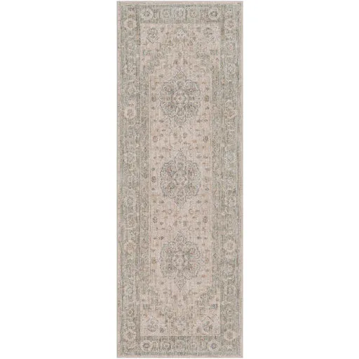 Avant Garde Traditional Light Gray Rug