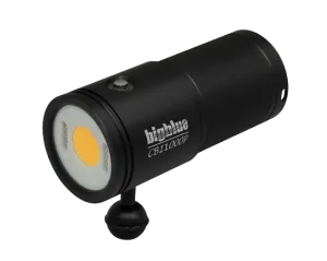 Big Blue 11,000 Lumen Warm Video Light