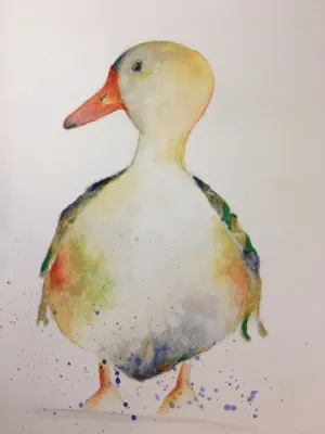 Duck Print in Watercolour, A3 - Three Styles
