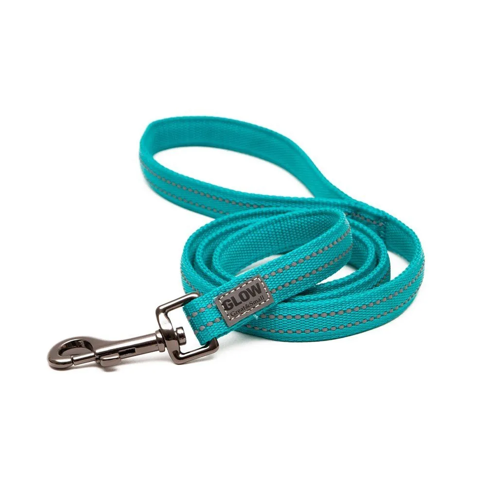 GREAT & SMALL Dog Glow Lead Turquoise