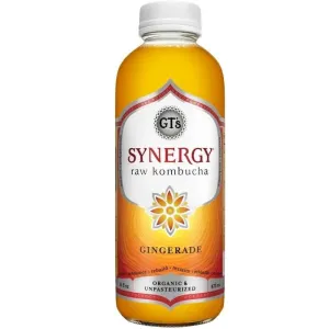 GT's - Synergy Raw Kombucha, 16 fl oz | Multiple Flavors