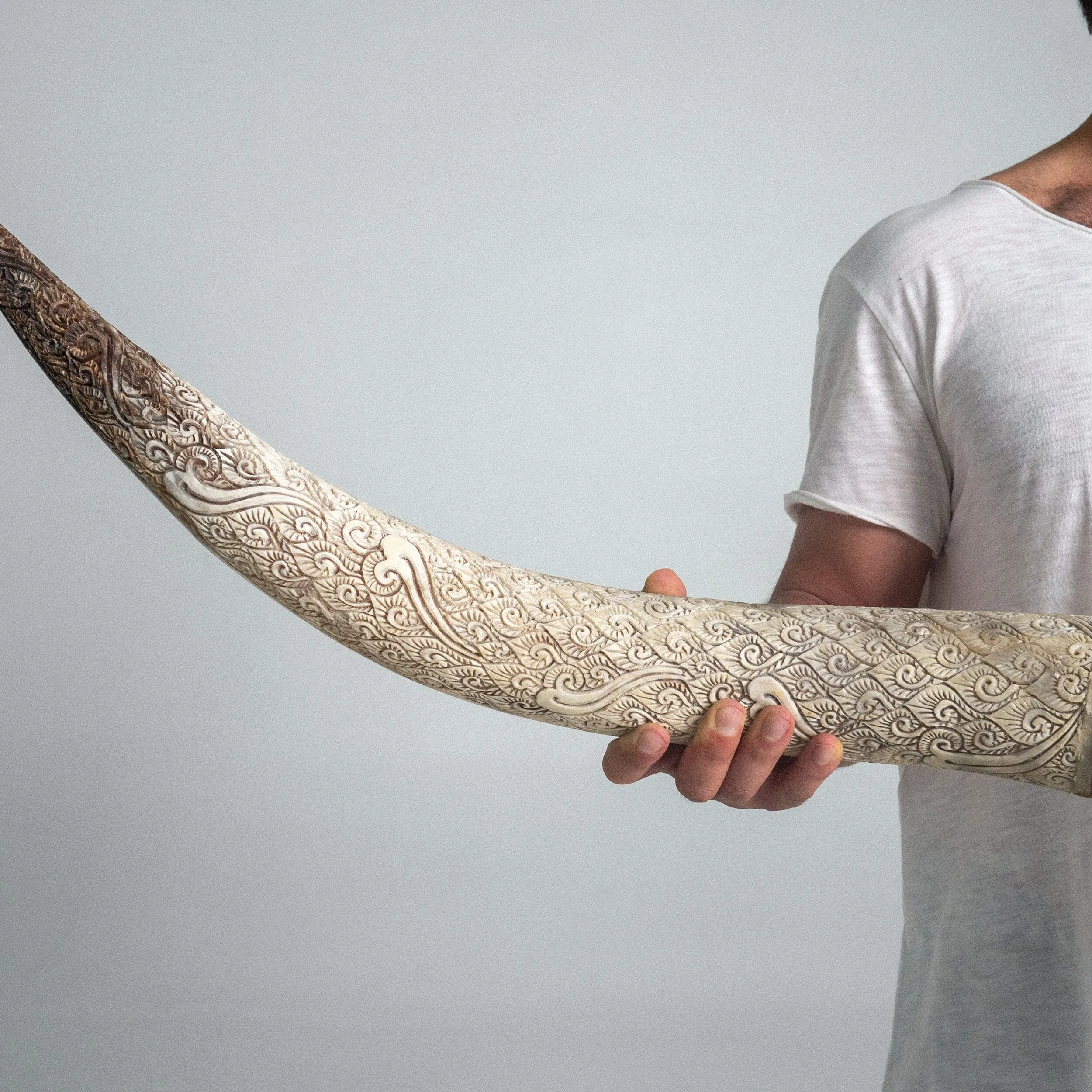 Longhorn Skull // XL Horns - Matte Black Storm