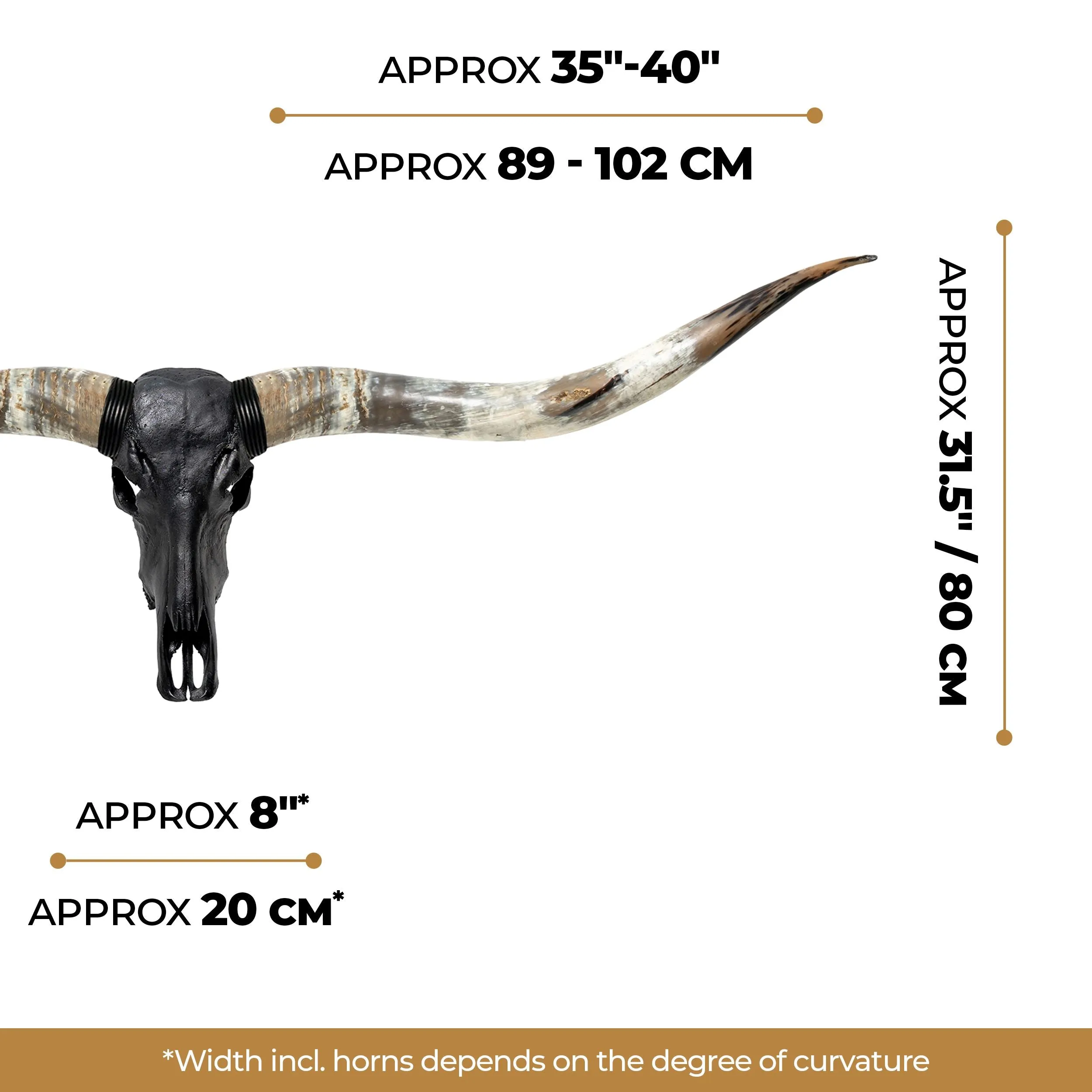 Longhorn Skull // XL Horns - Matte Black Storm