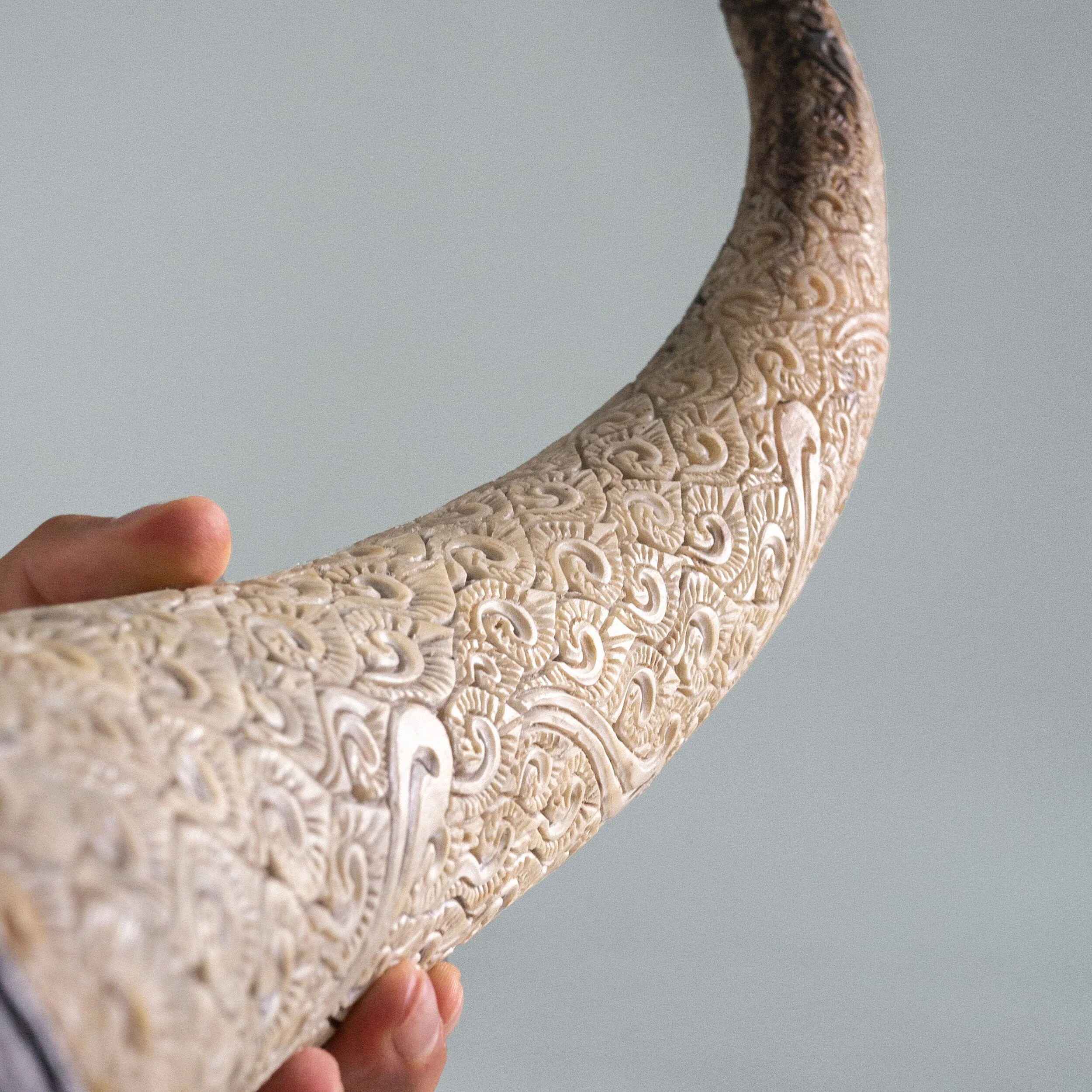 Longhorn Skull // XL Horns - Matte Black Storm