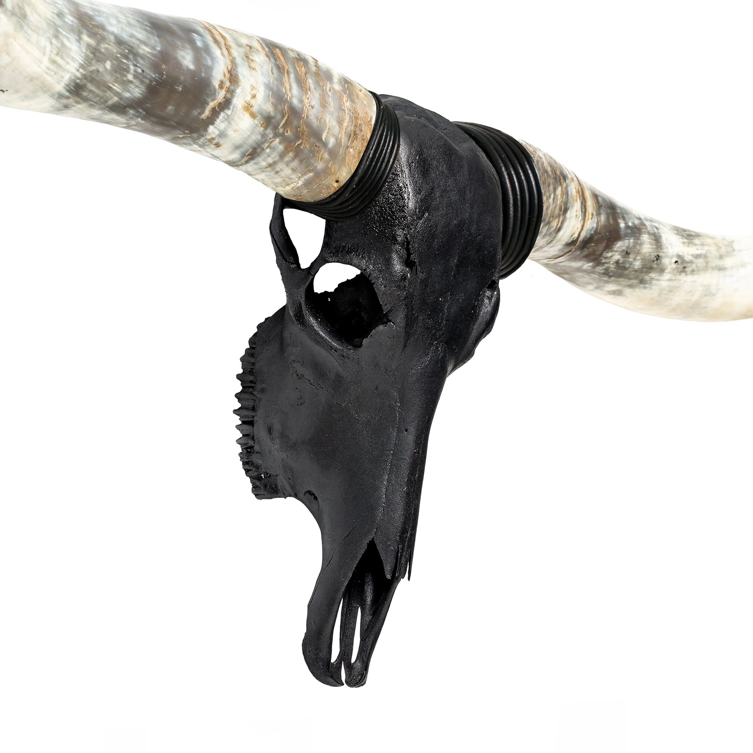 Longhorn Skull // XL Horns - Matte Black Storm