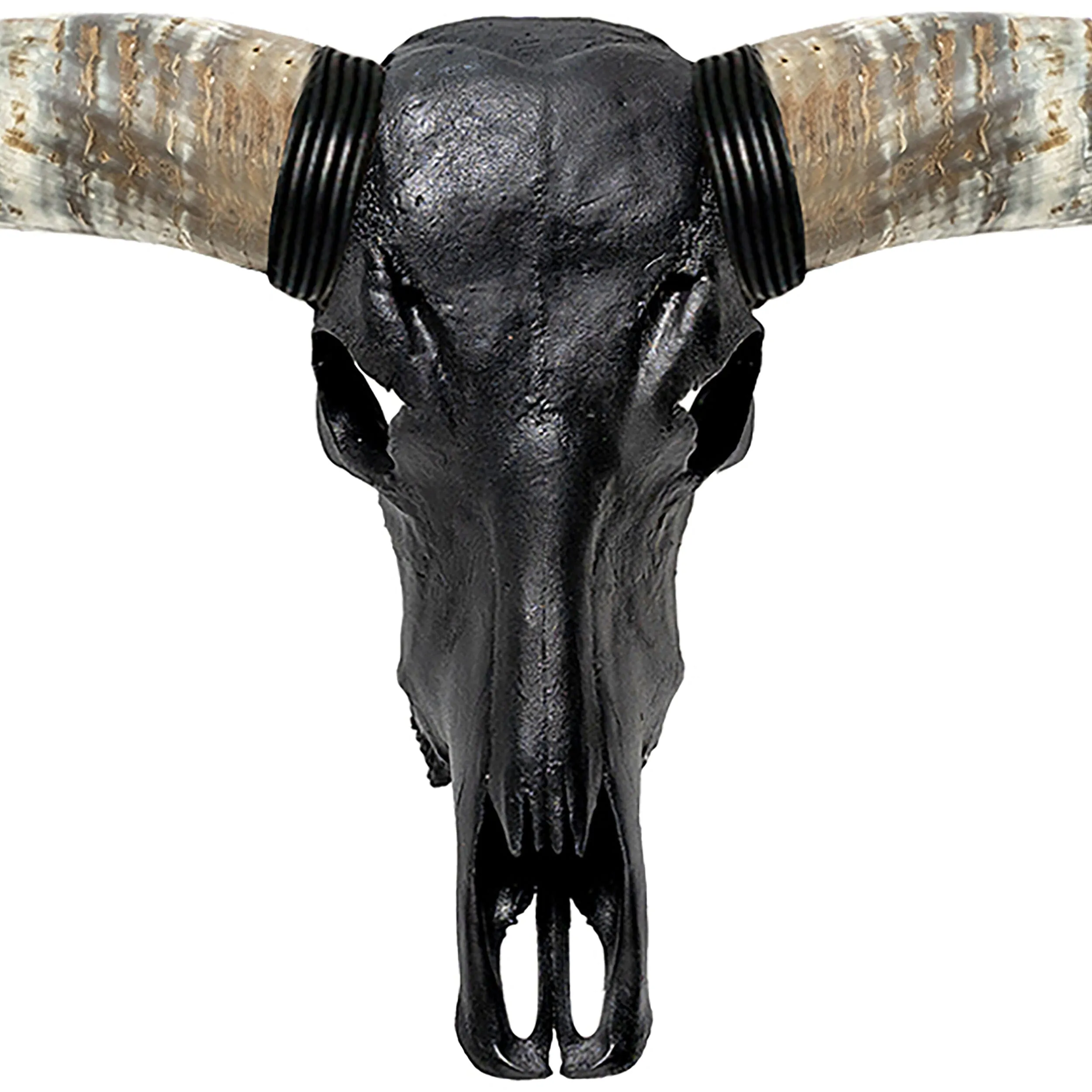 Longhorn Skull // XL Horns - Matte Black Storm